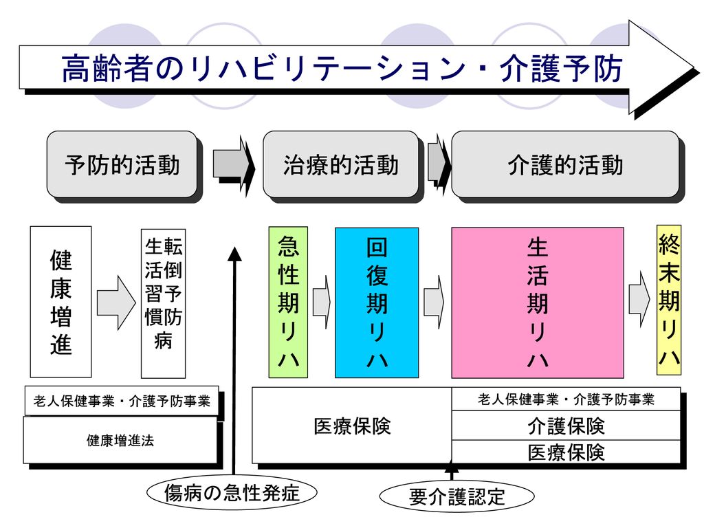 高齢者介護予防のための多角的アプローチ リハビリ 作業療法 理学療法